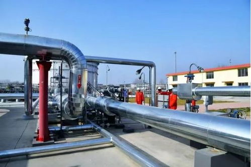 中緬管道合作 互利共贏的戰略選擇